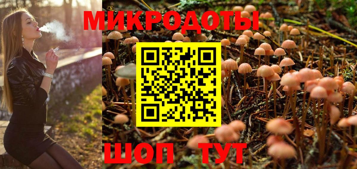 купить наркоту  Вход с VPN  Отрадное  Псилоцибиновые грибы Psilocybine cubensis  Псилоцибиновые грибы GOLDEN TEACHER 