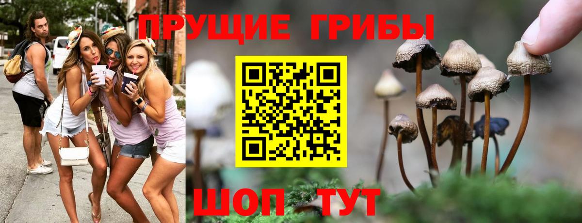 Псилоцибиновые грибы Cubensis Отрадное
